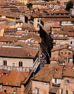 View from the Top -- Siena, Italy