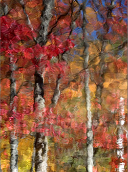 Autumn Reflections
