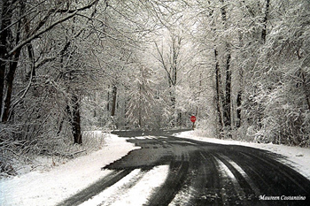 Snowstorm in Algonkian Park, Sterling, VA