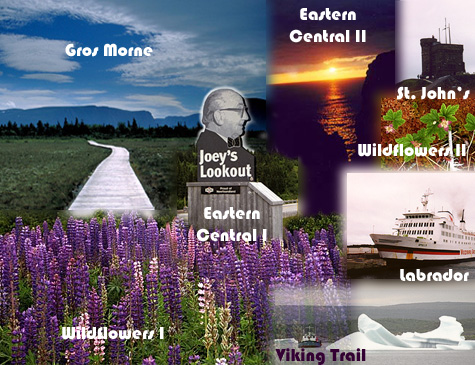 Trip to Newfoundland and Labrador